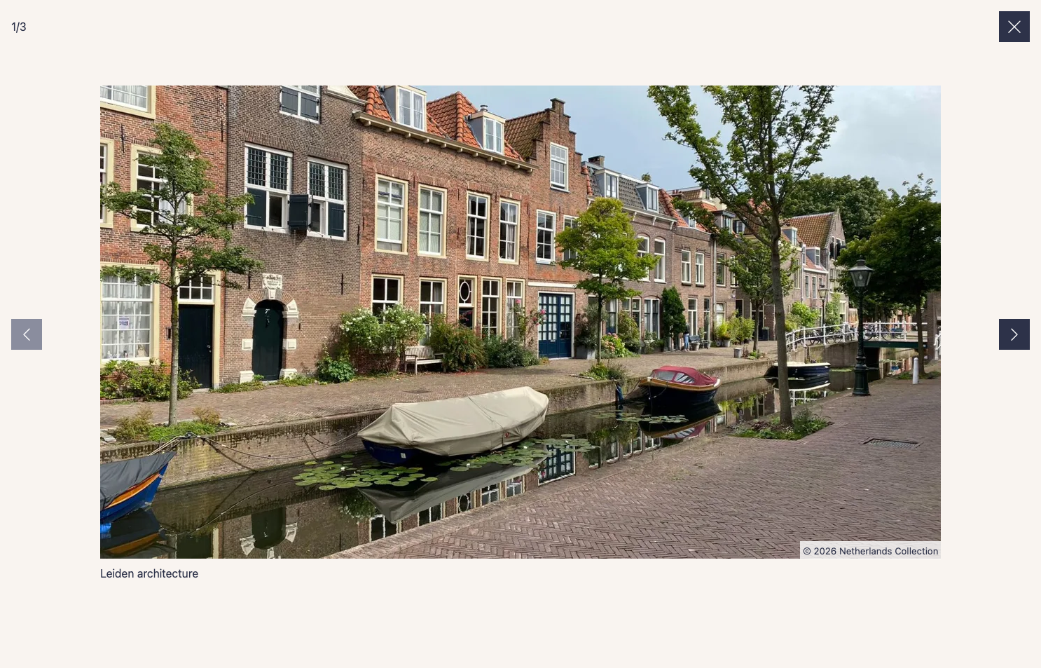 Screenshot of Parvus. It shows the first picture of a gallery.